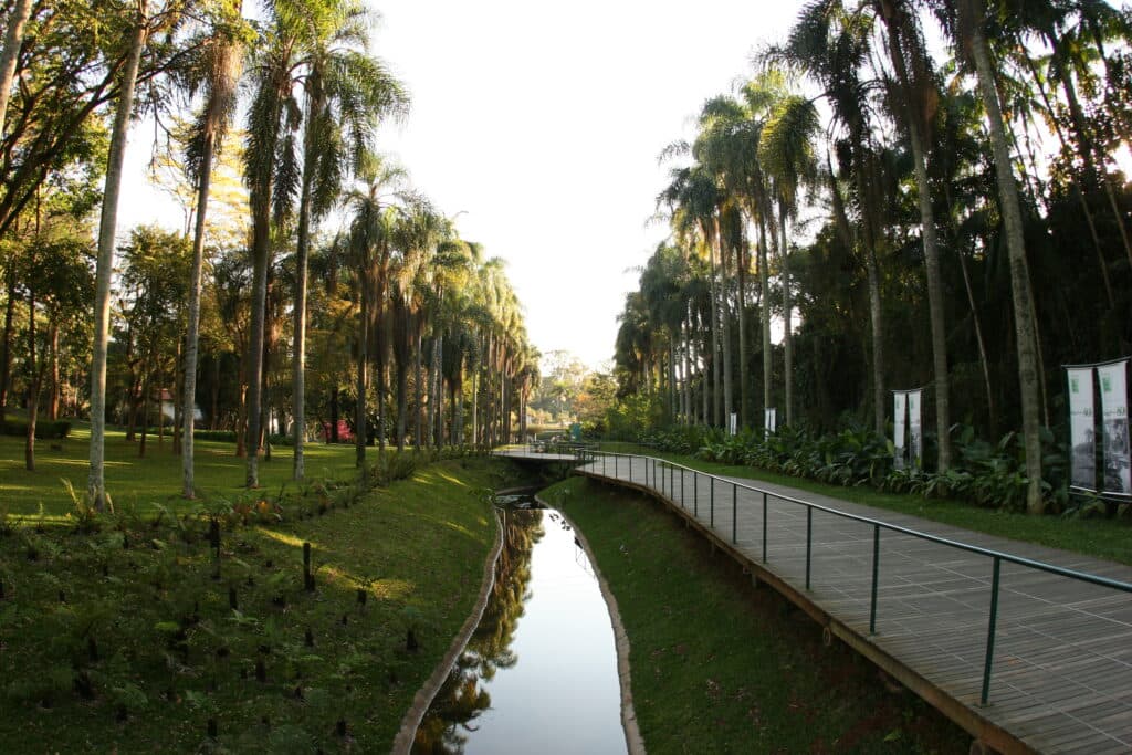 Jardim Botânico de São Paulo