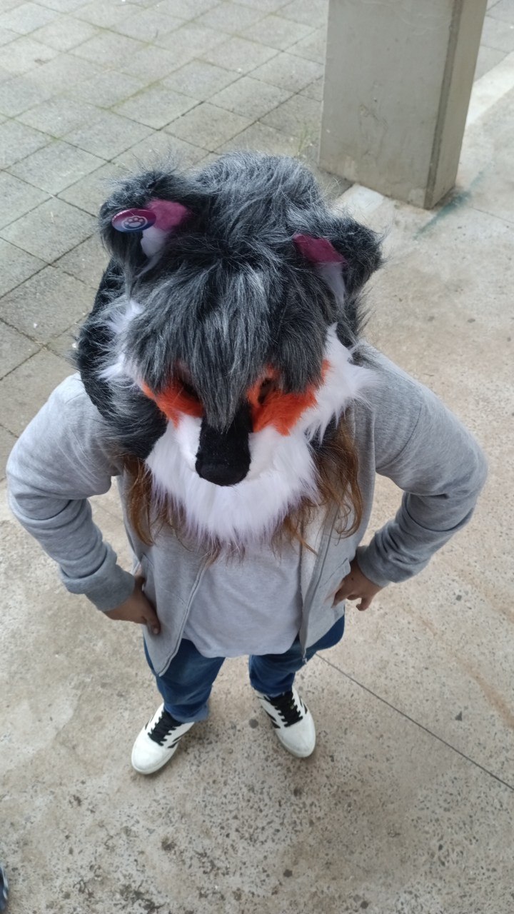 Participante com fursuit cinza no encontro