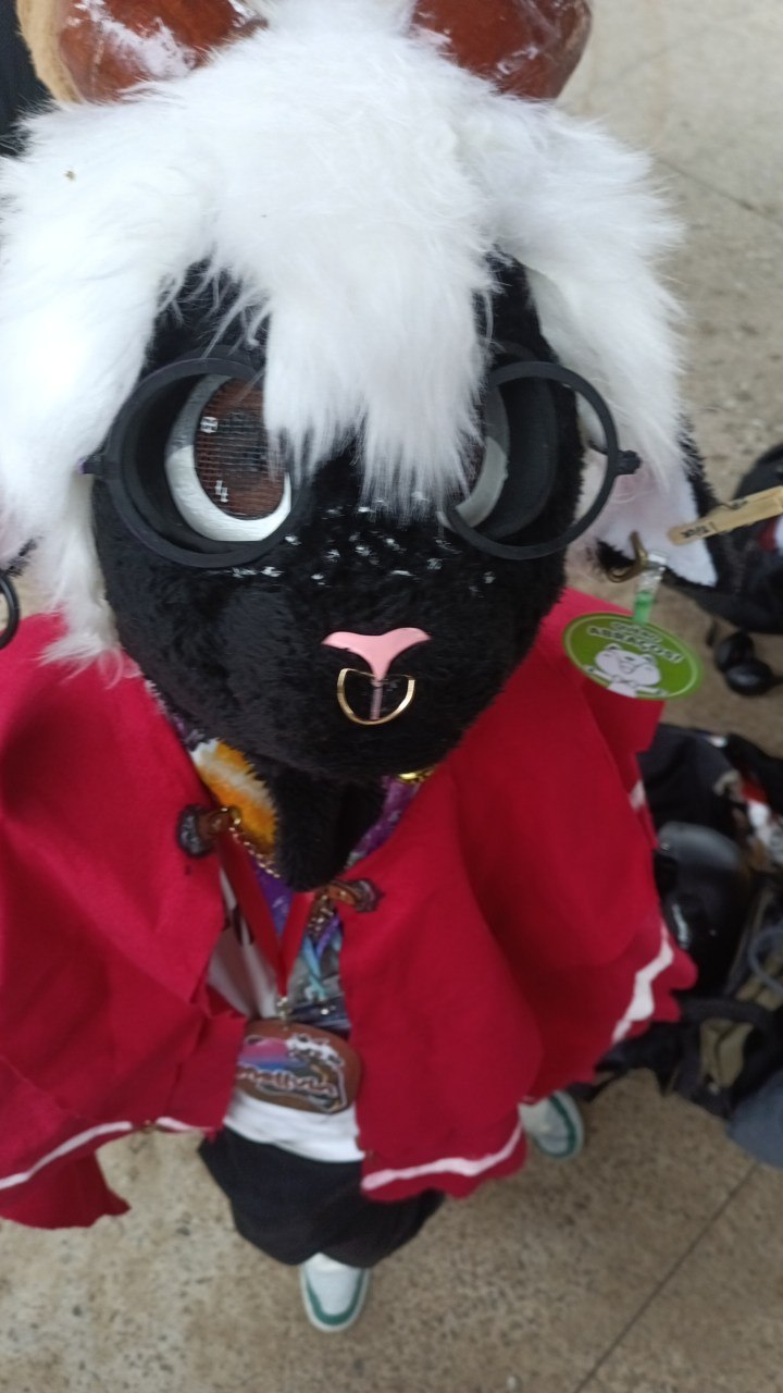 Fursuit preto e branco com óculos