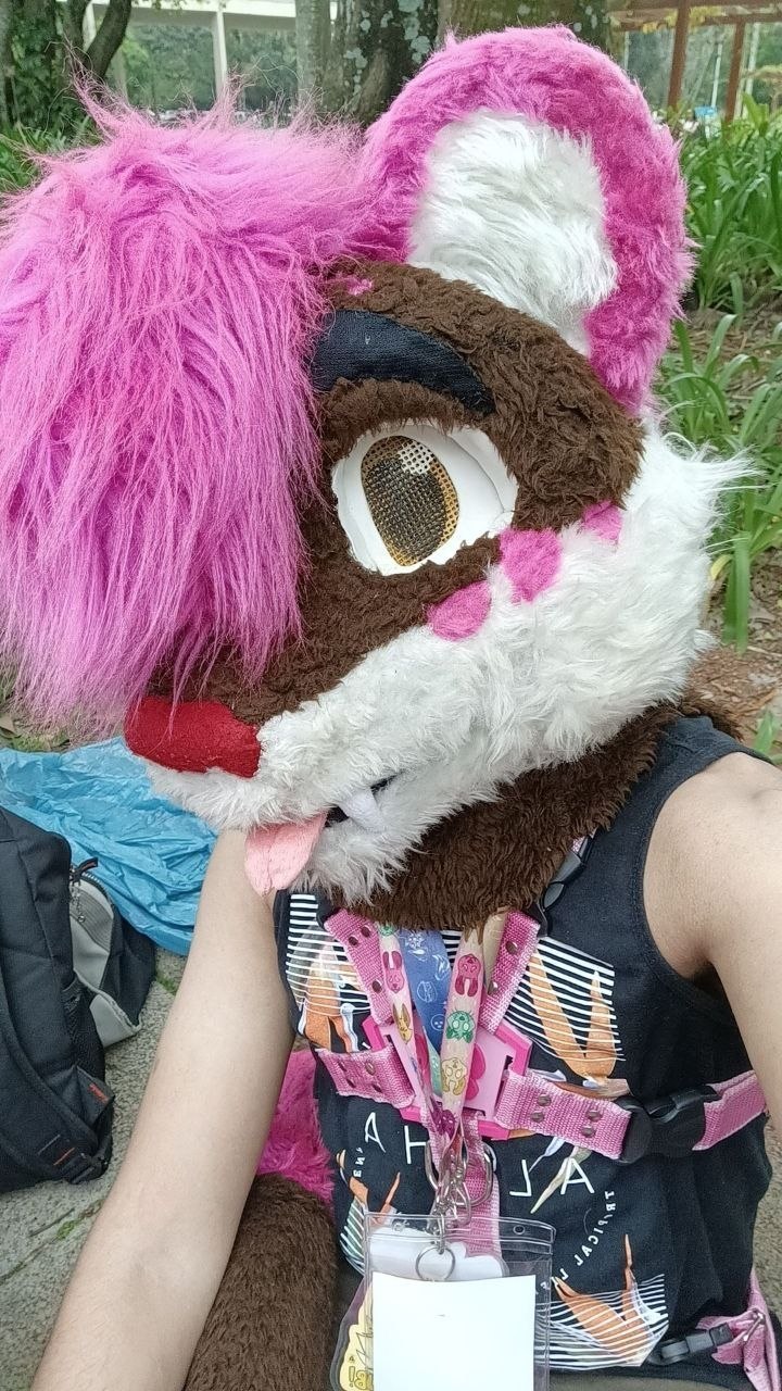 Retrato de fursuit rosa no Parque Ibirapuera